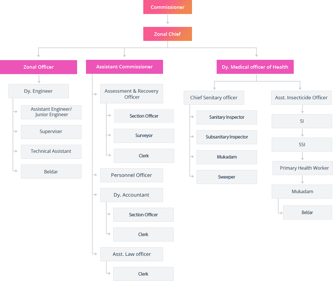 Organization Structure